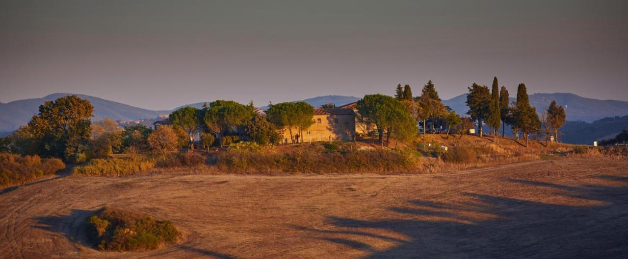 לינה וארוחת בוקר וולטרה Podere San Francesco מראה חיצוני תמונה